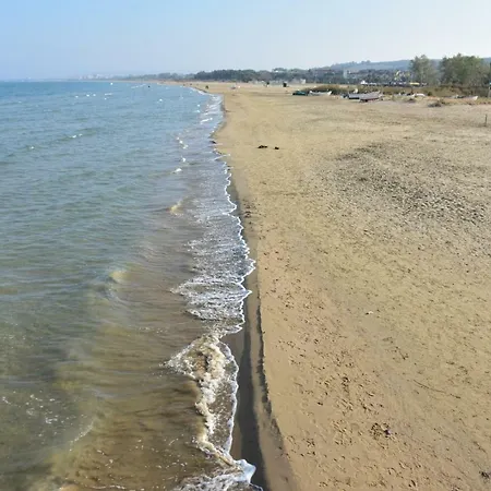 Duca Degli Abruzzi *
